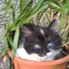 Photo de profil de choupette21800@gmail.com