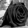 Photo de profil de Fatima