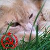 Photo de profil de dam