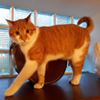 Photo de profil de PETEILH-ADRIAN 