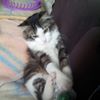 Photo de profil de Lilie974