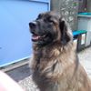 Photo de profil de 