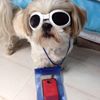 Photo de profil de Marjo