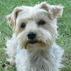 Photo de profil de cariner91