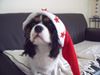 Photo de profil de Dunac