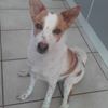 Photo de 