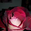 Photo de profil de Darras.famille @ hotmail. Fr
