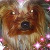 Photo de profil de 