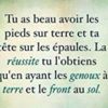 Photo de profil de Yass84