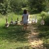 Photo de profil de anglsab37700