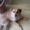 Photo de profil de 