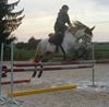 Photo de Nesv