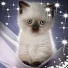 Photo de profil de Staelen Edith