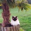 Photo de profil de 