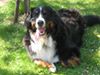 Photo de profil de Claude 57