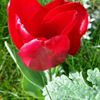 Photo de profil de laurentyves46@yahoo.fr