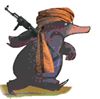Photo de profil de denis