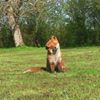 Photo de profil de CartmanX88