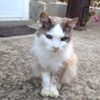 Photo de profil de Erwan