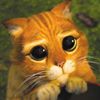 Photo de profil de Youcef