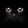 Photo de profil de malot86