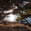 Photo de profil de Gobert